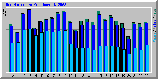 Hourly usage for August 2008